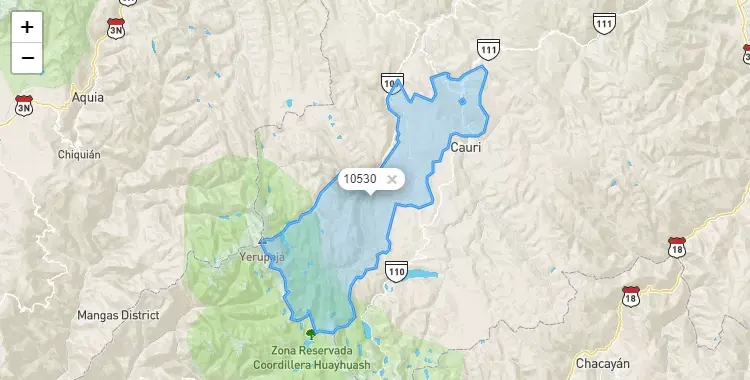 Mapa de la zona del código postal 10530 en Jesús, Huanuco