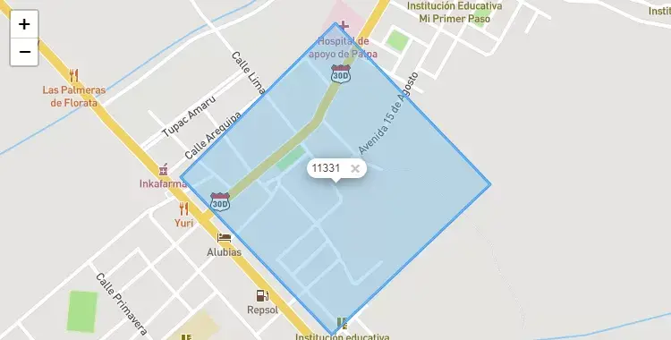 Mapa de Palpa, capital de la provincia de Palpa, Ica