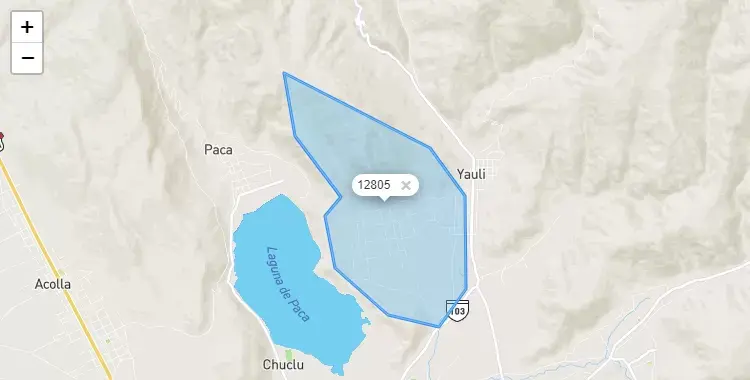 Mapa de la zona del código postal 12805 en San Pedro de Chunán, Junín