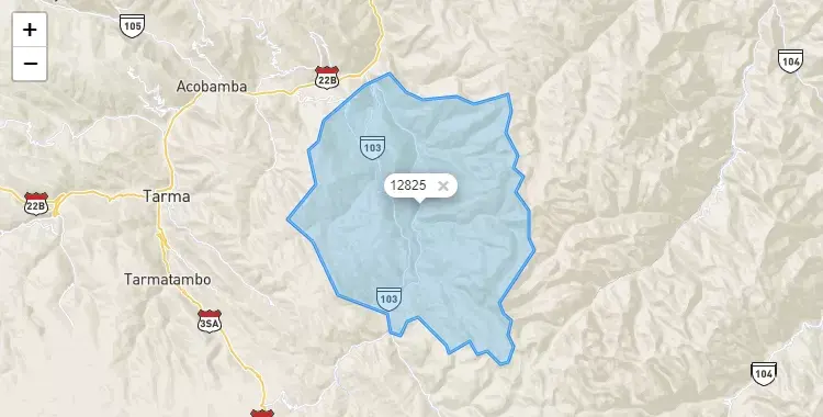 Mapa de la zona del código postal 12825 en Tapo, Junín