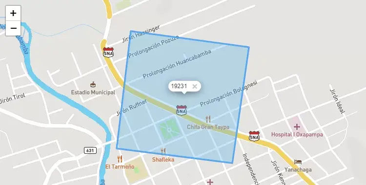 Mapa de Oxapampa, capital de la provincia de Oxapampa, Pasco