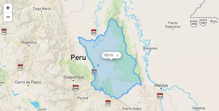 Mapa de la zona del código postal 19310 en Puerto Bermudez, Pasco
