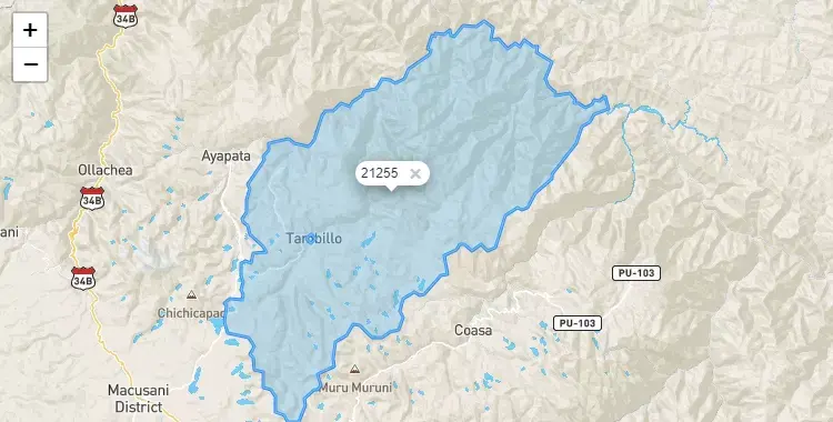 Mapa de la zona del código postal 21255 en Ituata, Puno