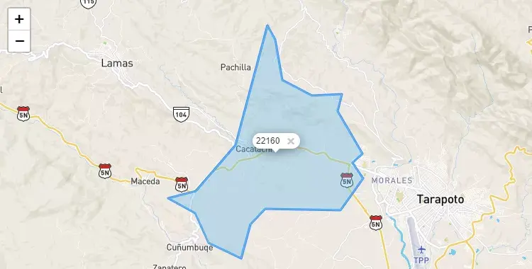 Mapa de la zona del código postal 22160 en Cacatachi, San Martín